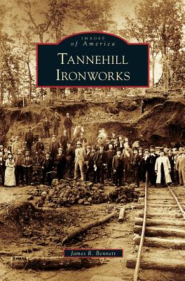 Immagine del venditore per Tannehill Ironworks (Hardback or Cased Book) venduto da BargainBookStores