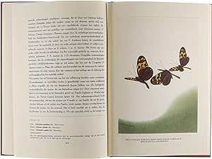 Bild des Verkufers fr De wonderwereld der tropische vlinders zum Verkauf von Untje.com