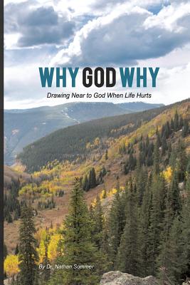 Immagine del venditore per Why God Why (Paperback or Softback) venduto da BargainBookStores