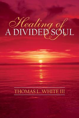 Bild des Verkufers fr Healing of a Divided Soul (Paperback or Softback) zum Verkauf von BargainBookStores