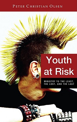 Seller image for Youth at Risk (Paperback or Softback) for sale by BargainBookStores