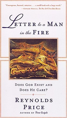 Bild des Verkufers fr Letter to a Man in the Fire: Does God Exist and Does He Care (Paperback or Softback) zum Verkauf von BargainBookStores