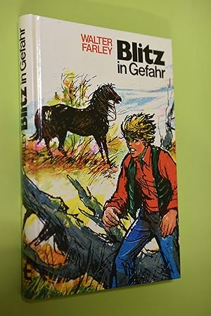 Blitz Teil 11: Blitz in Gefahr [Aus d. Amerikan. von Manja Wilkens]