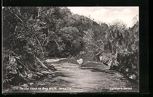 Postcard Bog Walk, A Road