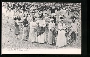 Postcard Jamaica, Banana Carriers