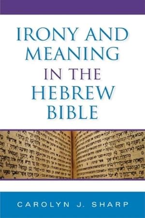 Image du vendeur pour Irony and Meaning in the Hebrew Bible mis en vente par GreatBookPricesUK