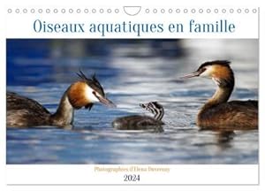 Seller image for Oiseaux aquatiques en famille (Calendrier mural 2024 DIN A4 vertical), CALVENDO calendrier mensuel for sale by BuchWeltWeit Ludwig Meier e.K.