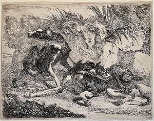 Antique print, etching | Two dogs, plate two of the set of the dogs, published 1642, 1 p.