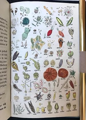 Botany, History of Science, Women, 1802 | Almanach der kruid-kunde voor het jaar 1802. Tot onderr...
