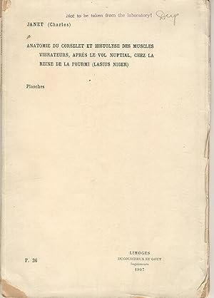 Anatomie du corselet et histolyse des muscles vibrateurs, apres le vol nuptial, chez la reine de ...