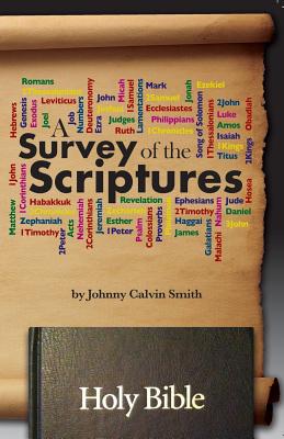 Imagen del vendedor de A Survey of the Scriptures (Paperback or Softback) a la venta por BargainBookStores