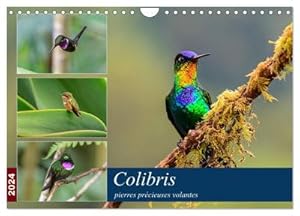 Seller image for Colibris - pierres prcieuses volantes (Calendrier mural 2024 DIN A4 vertical), CALVENDO calendrier mensuel : Les colibris du Costa Rica et de l'quateur tournoient comme des bijoux brillants  travers la fort de nuages. for sale by AHA-BUCH GmbH