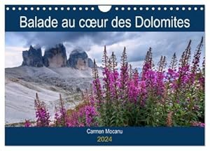 Seller image for Balade au cur des Dolomites (Calendrier mural 2024 DIN A4 vertical), CALVENDO calendrier mensuel for sale by BuchWeltWeit Ludwig Meier e.K.