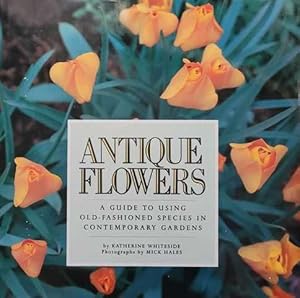 Imagen del vendedor de Antique Flowers: A Guide to Using Old-Fashioned Species in Contemporary Gardens a la venta por Leura Books