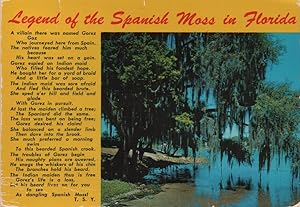 Seller image for Legend of Spanish Moss in Florida, The for sale by Mobyville