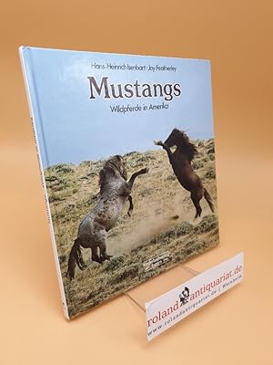Bild des Verkufers fr Mustangs ; Wildpferde in Amerika zum Verkauf von Roland Antiquariat UG haftungsbeschrnkt