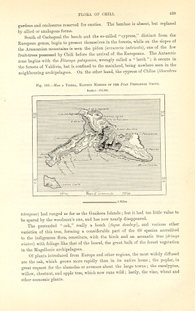 1894 Antique Map of Robinson Crusoe Island