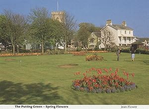 Sidmouth Putting Green Golf Golfing Devon 1980s Postcard