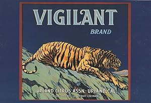 Upland Circus Tiger Brand California 1925 Poster Advertising Postcard