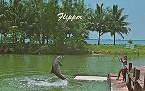 Flipper TV Show Dolphin Fish at Miami Seaquarium Postcard