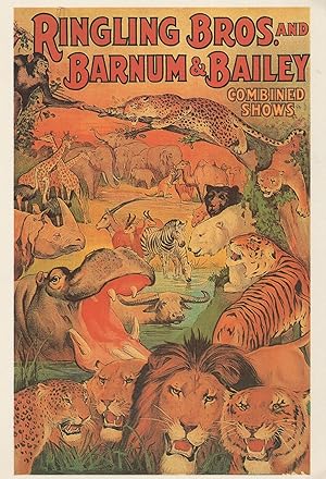 Barnum & Bailey Circus Combined Shows Poster Rare Museum Postcard