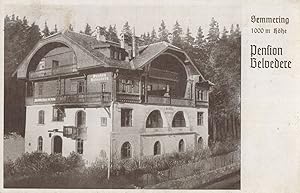 Pension Belvedere Semmering Austria Rare Postcard