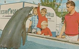 1960s Florida Sea Park Feeding Dolphins Food Van Old Postcard
