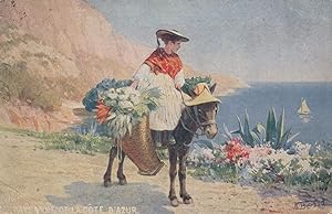 Cote D'Azur French Ladies Fashion Lady On Horse Old Postcard