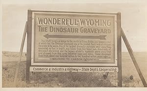 Wyoming Dinosaur Graveyard Fossils Old Real Photo Postcard