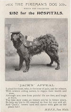 The Fireman's Dog Jacks Hospital Appeal Antique WW1 Postcard