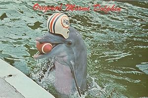Quarterback Miami Dolphin Fish Seaquarium NFL Hat Rare Postcard