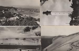 Cat Ferret Bassin D'Archaron Boats 4x French Real Photo Postcard s