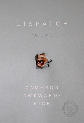 Seller image for Dispatch: Poems (Paperback or Softback) for sale by BargainBookStores