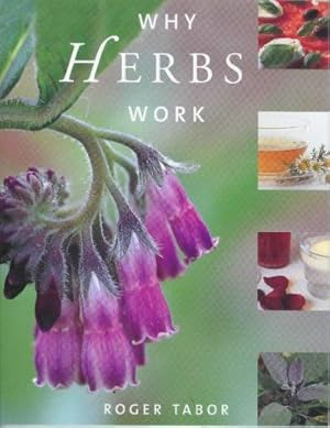 Image du vendeur pour Why Herbs Work mis en vente par WeBuyBooks