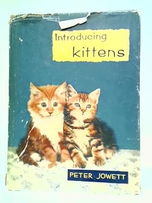 Imagen del vendedor de Introducing Kittens a la venta por World of Rare Books