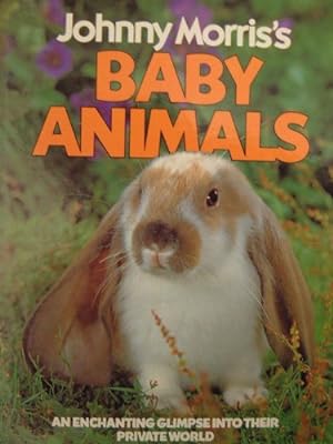 Seller image for Babyanimals for sale by WeBuyBooks