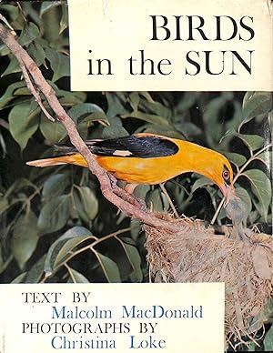 Imagen del vendedor de Birds in the Sun a la venta por M Godding Books Ltd