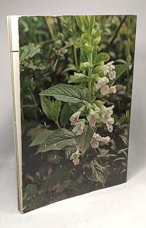 Seller image for Les Fleurs des bois for sale by crealivres