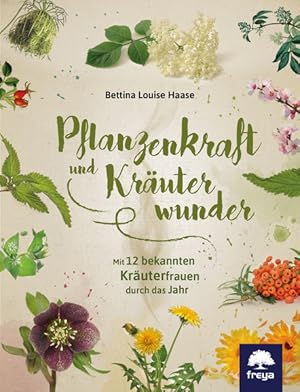 Pflanzenkraft und Kräuterwunder. Mit 12 bekannten Kräuterfrauen durch das Jahr.