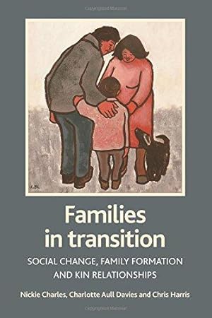 Bild des Verkufers fr Families in transition: Social change, family formation and kin relationships zum Verkauf von WeBuyBooks