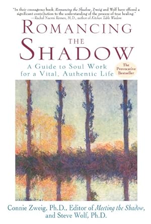 Image du vendeur pour Romancing the Shadow : A Guide to Soul Work for a Vital, Authentic Life mis en vente par GreatBookPrices