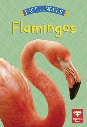 Bild des Verkufers fr Flamingos zum Verkauf von moluna