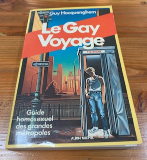 Immagine del venditore per Le Gay Voyage: Guide et Regard Homosexuels sur les Grandes Mtropoles (French Edition) venduto da Bad Animal