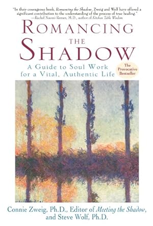 Imagen del vendedor de Romancing the Shadow : A Guide to Soul Work for a Vital, Authentic Life a la venta por GreatBookPrices