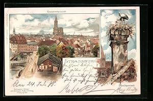 Künstler-Ansichtskarte Carl Münch: Strassburg, Gesamtansicht und Storchennest