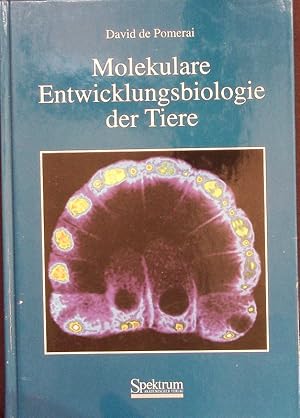 Bild des Verkufers fr Molekulare Entwicklungsbiologie der Tiere. zum Verkauf von Antiquariat Bookfarm