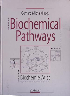 Bild des Verkufers fr Biochemical pathways. zum Verkauf von Antiquariat Bookfarm