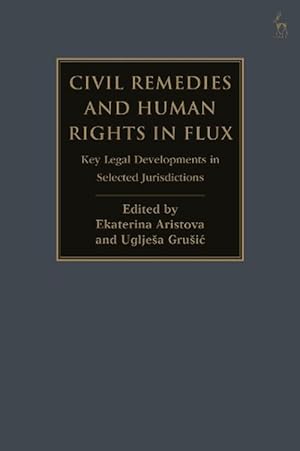 Image du vendeur pour Civil Remedies and Human Rights in Flux (Paperback) mis en vente par Grand Eagle Retail