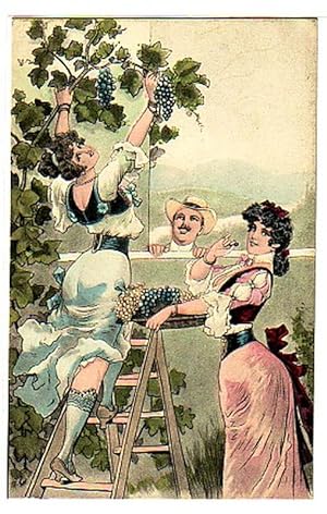 Bild des Verkufers fr 02762 Ak Erotik leichtbekleidete Dame bei der Lese 1905 zum Verkauf von Versandhandel fr Sammler