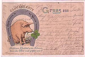 Bild des Verkufers fr 00586 Ak Glckskarte mit Hufeisen, Schwein usw. 1899 zum Verkauf von Versandhandel fr Sammler